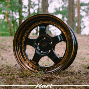 DSC01846 HART HR99, R18, 2 PCD, 2 Widths, 3 Colors